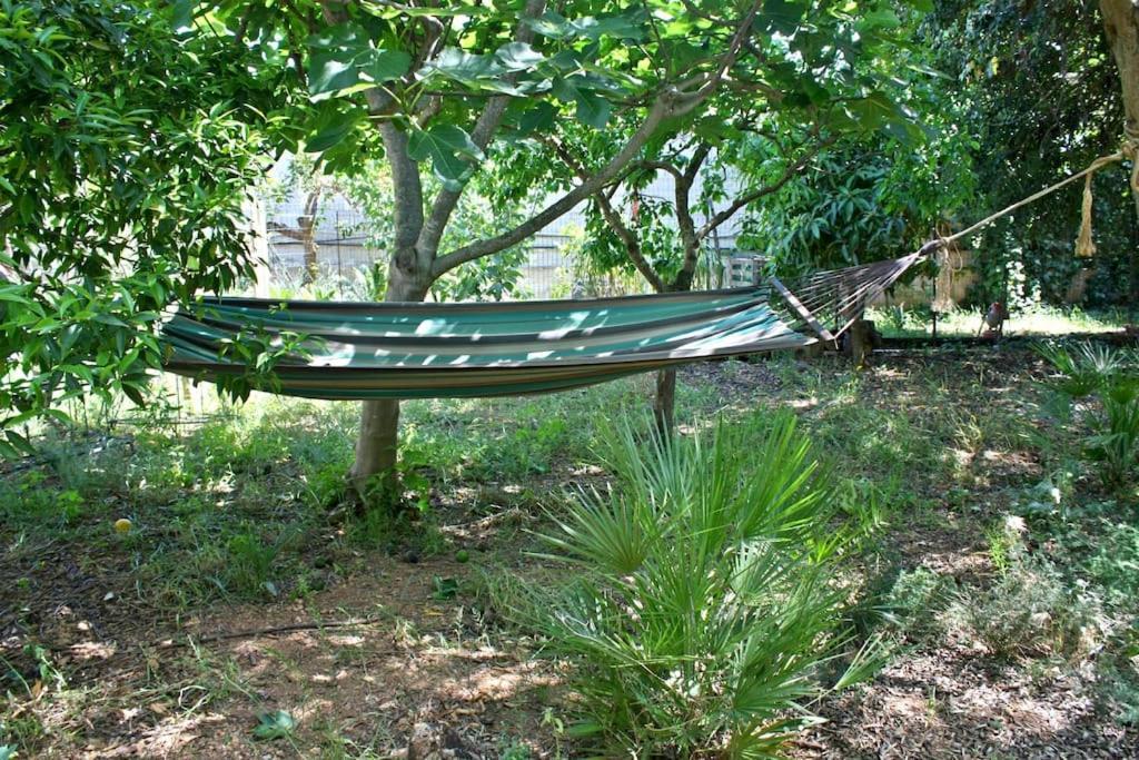 Camera Indipendente Con Bagno Immersa Nel Verde Bagheria Exterior foto